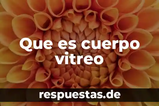Que es cuerpo vitreo