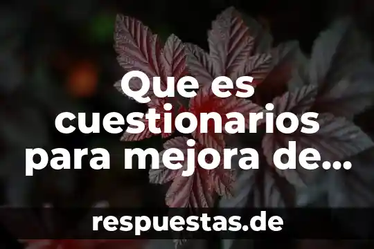 Que es son los productos informativos 5 Que es cuestionarios para mejora de productos
