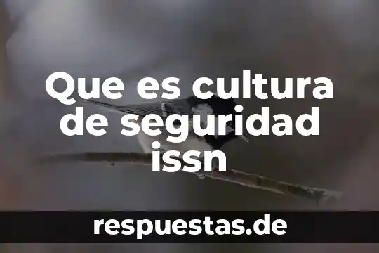 Que es la seguridad en una sociedad 6 Que es cultura de seguridad issn