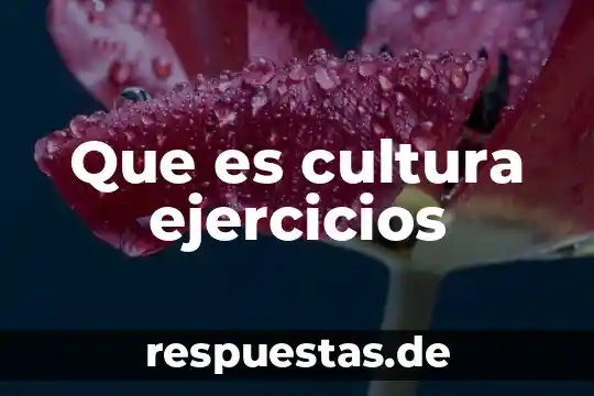 Qué es una rutina de ejercicios concepto 8 Que es cultura ejercicios