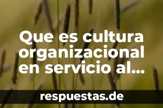 Que es un modelo mecanico del diseño organizacional 4 Que es cultura organizacional en servicio al cliente