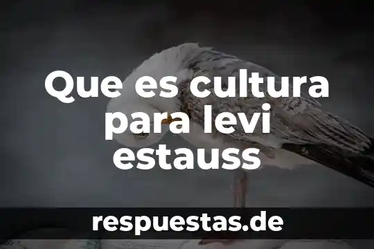 Que es la cultura de legibilidad 3 Que es cultura para levi estauss