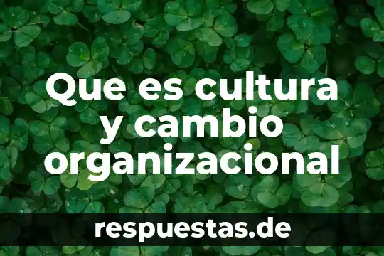 Por que es importante la cultura en una región 4 Que es cultura y cambio organizacional