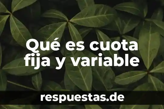 Que es ser alguien que se fija en los detalles 3 Qué es cuota fija y variable