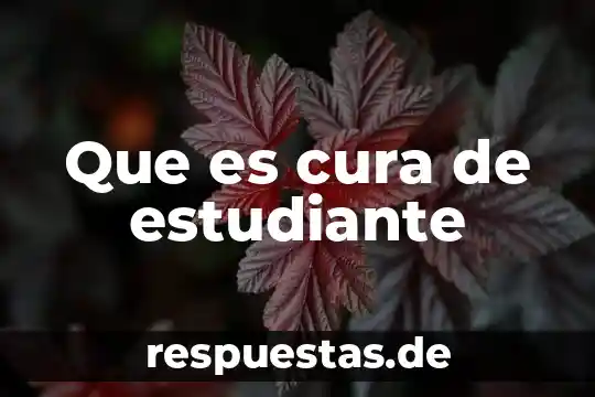 Que es ser estudiante en que consiste 3 Que es cura de estudiante