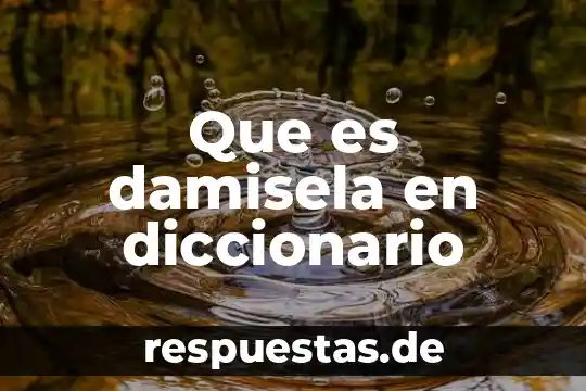 Que es ministero publico segun el diccionario de derecho 3 Que es damisela en diccionario