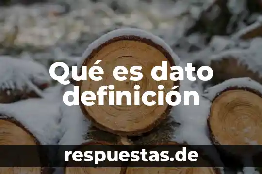 Que es el estambre de la flor definicion 5 Qué es dato definición