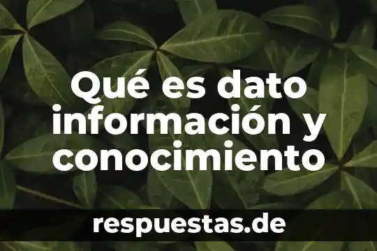 Qué es pseudoreplicación en estadística 4 Qué es dato información y conocimiento