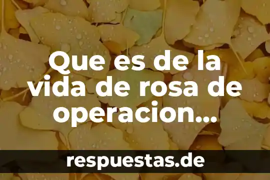 Que es operacion de proceso 5 Que es de la vida de rosa de operacion triunfo