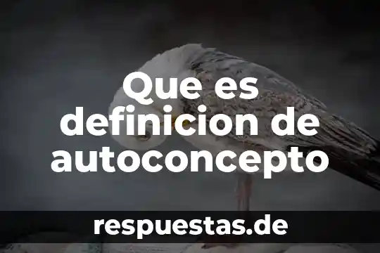 Qué es línea perpendicular definición 5 Que es definicion de autoconcepto