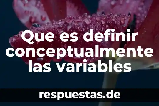 Que es definir conceptualmente las variables