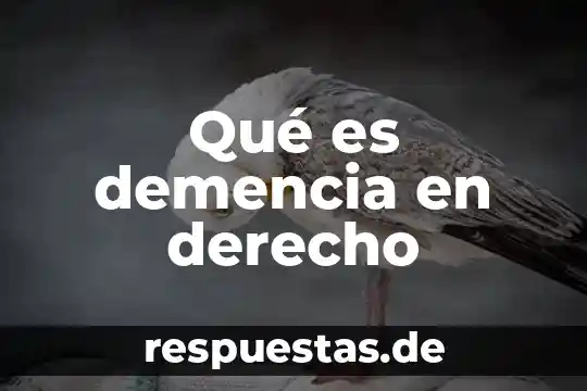 Que es el derecho de objecion de conciencia 4 Qué es demencia en derecho