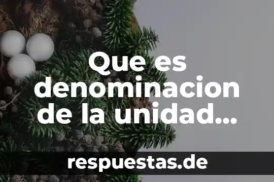 Que es el nombre denominacion o razon social 4 Que es denominacion de la unidad responsable