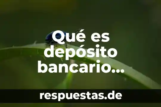 Conocimiento jurídico que es 4 Qué es depósito bancario diccionario jurídico