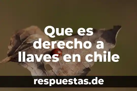 Juego de llaves estriadas que es 4 Que es derecho a llaves en chile