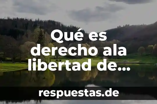 Qué es derecho ala libertad de tránsito
