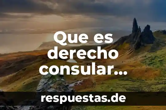 Que es derecho consular antecedentes