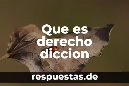 Qué es derecho derogado 5 Que es derecho diccion
