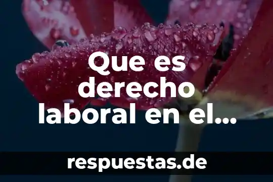 Firma azteca en linea que es 6 Que es derecho laboral en el derecho azteca