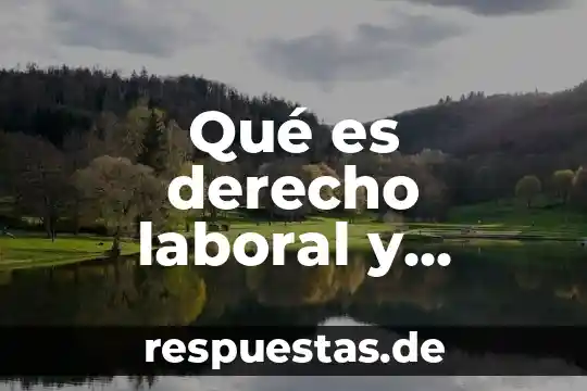 Que es la teoría española del contrato laboral 8 Qué es derecho laboral y societario