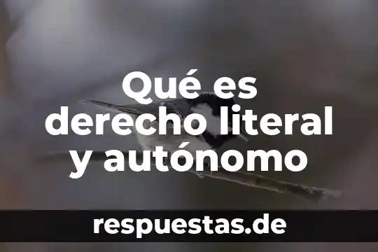 Que es un a literal en matematicas 8 Qué es derecho literal y autónomo