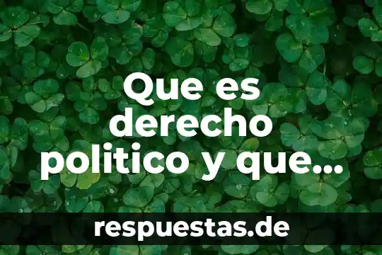 Que es derecho politico y que es derechos politicos