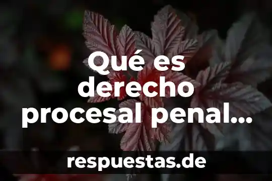 Qué es el código federal penal 4 Qué es derecho procesal penal en México