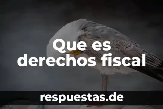 Que es abstencionismo electoral significado 4 Que es derechos fiscal