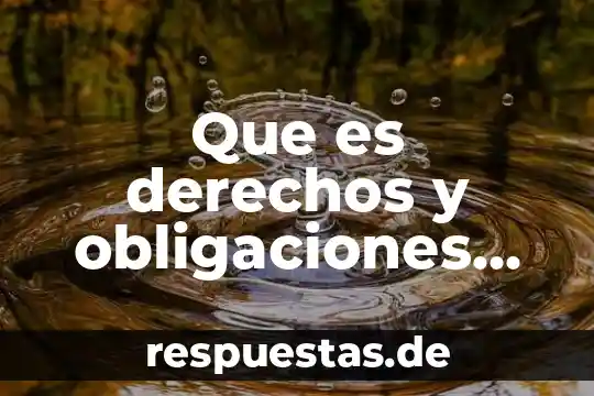 Que es derechos y obligaciones del ciudadano