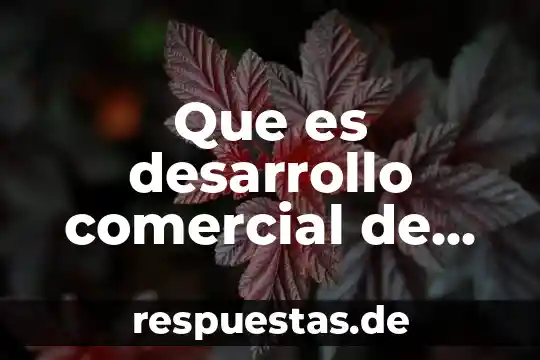 Que es el nombre comercial de una negociación 8 Que es desarrollo comercial de los aztecas