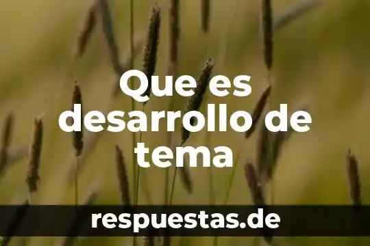 ¿Qué es la socioafectivo concepto? 7 Que es desarrollo de tema