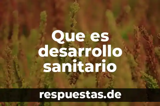 Que es un fiscal sanitario aduanal 8 Que es desarrollo sanitario