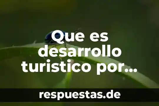 Que es relativismo segun autores 3 Que es desarrollo turistico por varios autores