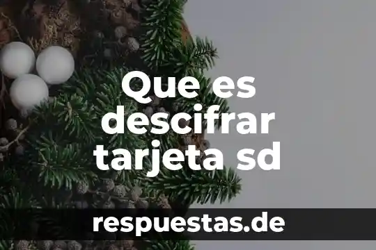 Qué es bin de la tarjeta 5 Que es descifrar tarjeta sd