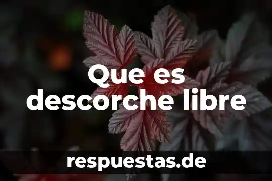 Que es principio de libre concurrencia y competencia 3 Que es descorche libre