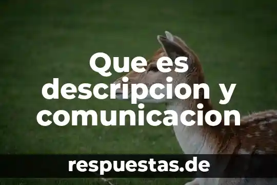 Que es ser consciente de sus derechos 7 Que es descripcion y comunicacion