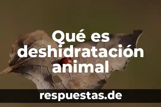 Qué es en medicina signo deshidratación 3 Qué es deshidratación animal