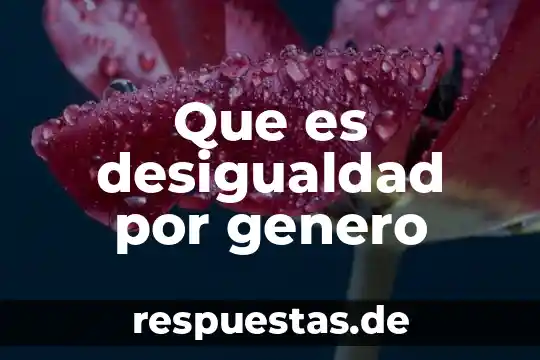 Qué es el género dr 6 Que es desigualdad por genero