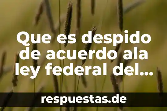 Una ley federal que es 4 Que es despido de acuerdo ala ley federal del trabajo