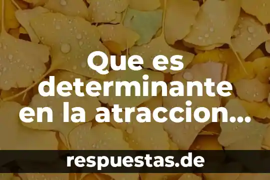 Qué es atracción magnética en física 6 Que es determinante en la atraccion de los cuerpos