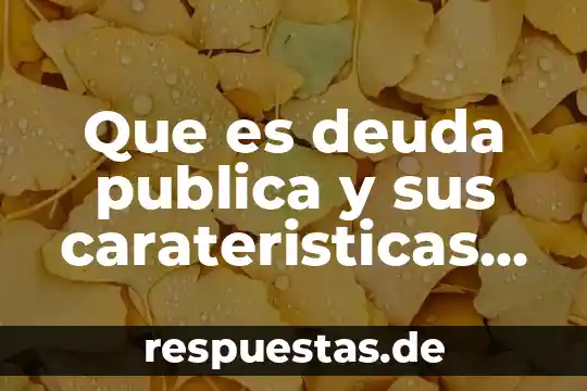 Qué es deuda pública interes 6 Que es deuda publica y sus carateristicas en macroeconomia