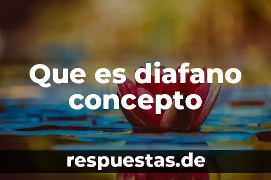 Qué es satisfacción concepto 6 Que es diafano concepto