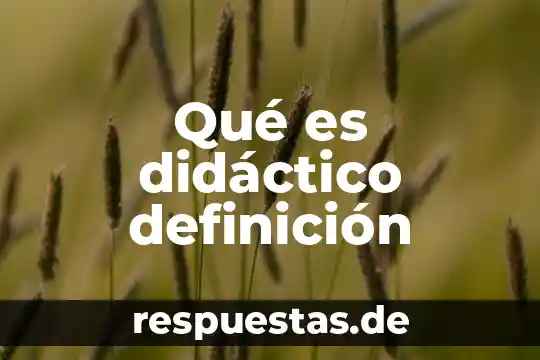 Qué es un crédito de consumo definición 5 Qué es didáctico definición