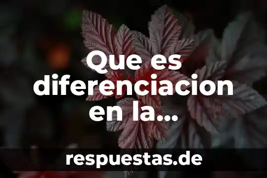Qué es diferenciación espacial en resonancia magnética 3 Que es diferenciacion en la educacion