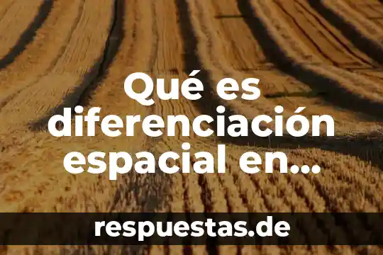 Qué es el principio de diferenciación concepto 4 Qué es diferenciación espacial en resonancia magnética