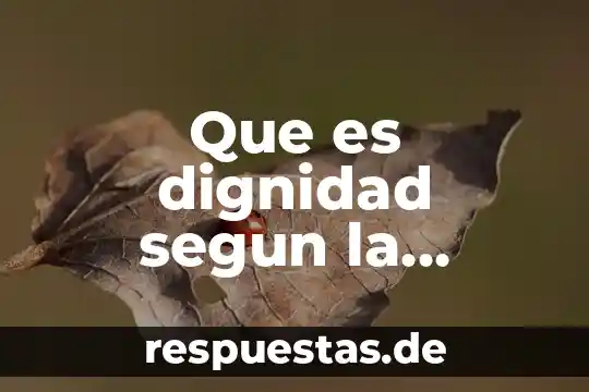 Libro que es la bioética vida y dignidad 7 Que es dignidad segun la filosofia