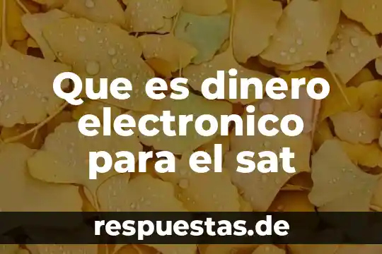 Qué es el dinero en matemáticas financieras 4 Que es dinero electronico para el sat