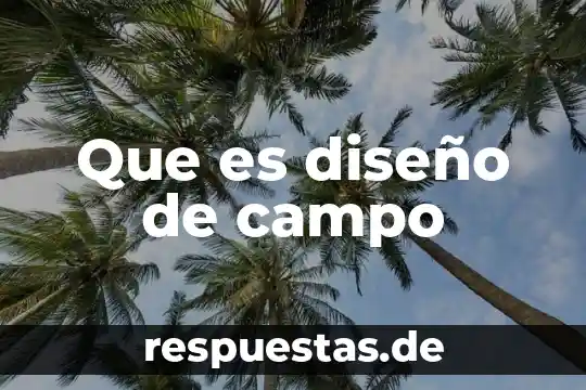 Qué es el trabajo de campo en la antropología 5 Que es diseño de campo