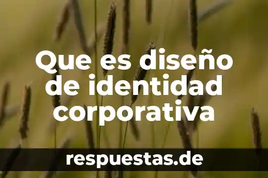 Que es un diseño idealizado 7 Que es diseño de identidad corporativa