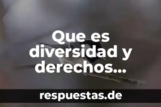 Que es ser asistente de recursos humanos 6 Que es diversidad y derechos humanos